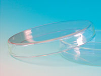 Petrischale mit Deckel aus Glas, 8 cm