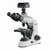 Durchlichtmikroskop-Digitalset OBE mit C-Mount-Kamera | Typ: OBE 124C825