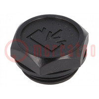 Fill plug; without side hole; Thread: G 1"; Overall len: 22mm