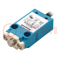 Limit switch; plunger; NO + NC; 10A; max.240VAC; max.250VDC; IP67