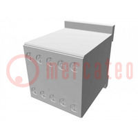 Contactor: 3-pole; NO x3; Auxiliary contacts: NC; 48VAC; 9A; BG