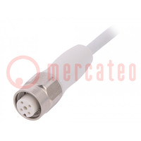Connection lead; M12; PIN: 4; straight; 5m; plug; 250VAC; 4A; 250VDC