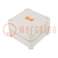 Enclosure: junction box; X: 114mm; Y: 114mm; Z: 74mm; IP66