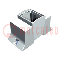 Enclosure: for DIN rail mounting; Y: 110mm; X: 53.5mm; Z: 62mm; grey