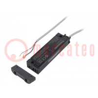Safety switch: RFID; SG-P; IP65; PBT,thermoplastic PC; 24VDC; 20mA