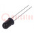 Photodiode; 5mm; THT; 880nm; 700÷1100nm; 20°; 1,3V; convexe; noir
