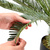 Kunstpflanze / Kunstpalme CYCAS Kunststoff grün hjh OFFICE