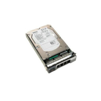 DELL 400-AEEG internal hard drive 300 GB 10000 RPM 2.5" SAS