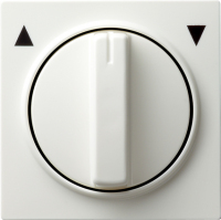 GIRA 066640 veiligheidsplaatje voor stopcontacten Wit