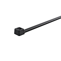 Hellermann Tyton LK2A cable tie Polyamide Black 100 pc(s)