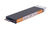 Kioxia XD7P E1.S 3,84 TB PCI Express 5.0 BiCS FLASH TLC NVMe