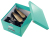 Leitz Caja de almacenamiento mediana Click & Store