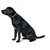Hunter Solid Education Braun, Orange Leder M-L Hund Standardkragen