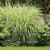 Relaxdays Beetzaun, je HxB: 60 x 60 cm, Metall, Garten Beeteinfassung zum Stecken, 4 dekorative Zaunelemente, schwarz