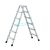 Professional step ladder, anodised