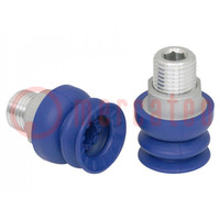 Suction cup; 22mm; G1/4 AG; Shore hardness: 60; 2.48cm3; SAB