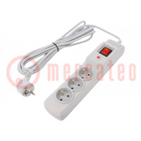 Plug socket strip: protective; Sockets: 3; 250VAC; 10A; grey