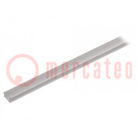 Stopper; for profiles; Width of the groove: 8mm; L: 2m; PP