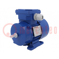 Motor: AC; 3-phase; 0.12kW; 230/400VAC; 2800rpm; IP54; -30÷60°C