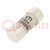 Fuse: fuse; gG; 40A; 690VAC; cylindrical,industrial; 22x58mm