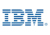 IBM Systems Director x86, v6.1 Server License + 1 year subscription