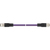 Lapp UNITRONIC BUS PB M12-M12 Signalkabel 5 m Violett