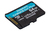 Kingston Technology 64GB microSDXC Canvas Go Plus 170R A2 U3 V30 enkel pakket zonder ADP