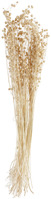 Trockenblumenbundle Anando; 60 cm (L); natur
