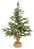 Tannenbaum Aldrin; 45x90 cm (ØxH); grün/braun