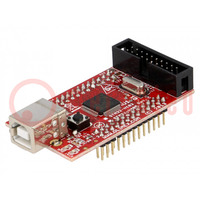 Entw.Kits: ARM ST; IDC40 x2,JTAG,USB B; Prototypenplatine