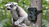 Technaxx Nature Wild Cam TX-69 Doos Binnen & buiten 1920 x 1080 Pixels