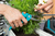 Gardena 8970-20 Zestaw ręcznych narzędzi ogrodowych 1 szt.