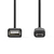 Nedis CCGP60515BK02 USB Kabel 0,2 m USB 2.0 USB A Micro-USB B Schwarz