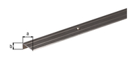 Treppenkanten-Schutzprofil,gebohrt, Alu edelst.elox.,LxBxHxS 1000x24,5x10x1,5mm