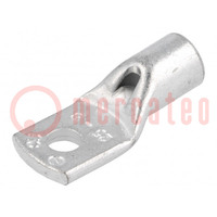 Terminal: anillo tubular; M6; 25mm2; crimpados; para conducto