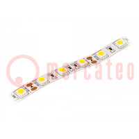 Nastro LED; bianco caldo; 5050; 12V; LED/m: 60; 10mm; IP20; 120°