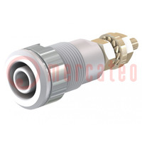 Presa; banana 4mm; 32A; 1kV; Foro: Ø12,2mm; bianco; dorato; isolati