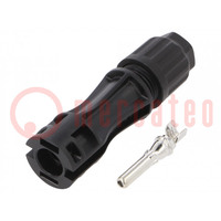 Connector: solar; male; 4÷6mm2; with contacts; crimped; plug; 35A