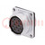 Socket; WS; female; PIN: 12; flange (4 holes),for panel mounting