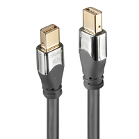 Lindy 36305 DisplayPort kabel 0,5 m Mini DisplayPort Grijs