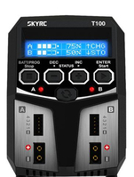 SkyRC T100 Prąd przemienny