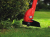 Black & Decker GL250 desbrozadora/bordeadora 250 W CA eléctrica Rojo