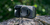 PolarPro Defender Body Cap Schwarz Canon Canon EF