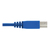 Tripp Lite P785-DPKIT10 cable para video, teclado y ratón (kvm) Negro, Azul 3,5 m