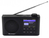 Soundmaster IR6500SW rádió Hordozható Analóg és digitális Fekete