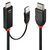 Lindy 41499 video kabel adapter 2 m HDMI + USB Type-A DisplayPort Zwart