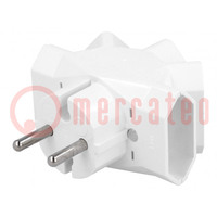 Connector: AC supply; splitter; 2P; 250VAC; 6A; Type: flat; white