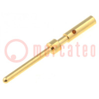 Contact; male; copper alloy; gold-plated; 28AWG÷24AWG; crimped