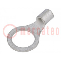 Tip: ring; M10; 2.5÷6mm2; non-insulated; tinned; copper; bulk