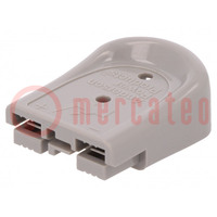 Connector: DC supply; plug; SBS® Mini; hermaphrodite; PIN: 2; grey